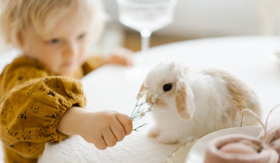 缺土缺金的女孩取什么名字好 优选400个